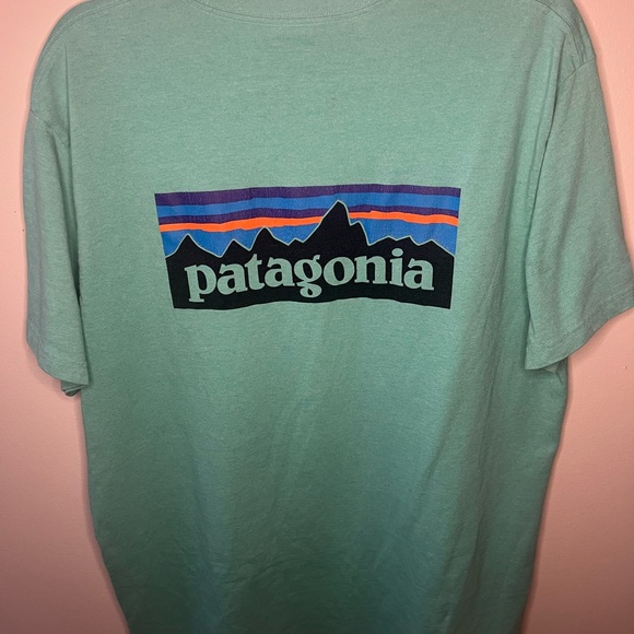 Patagonia Other - Patagonia- Responsibli- Tee T-Shirt (XL)